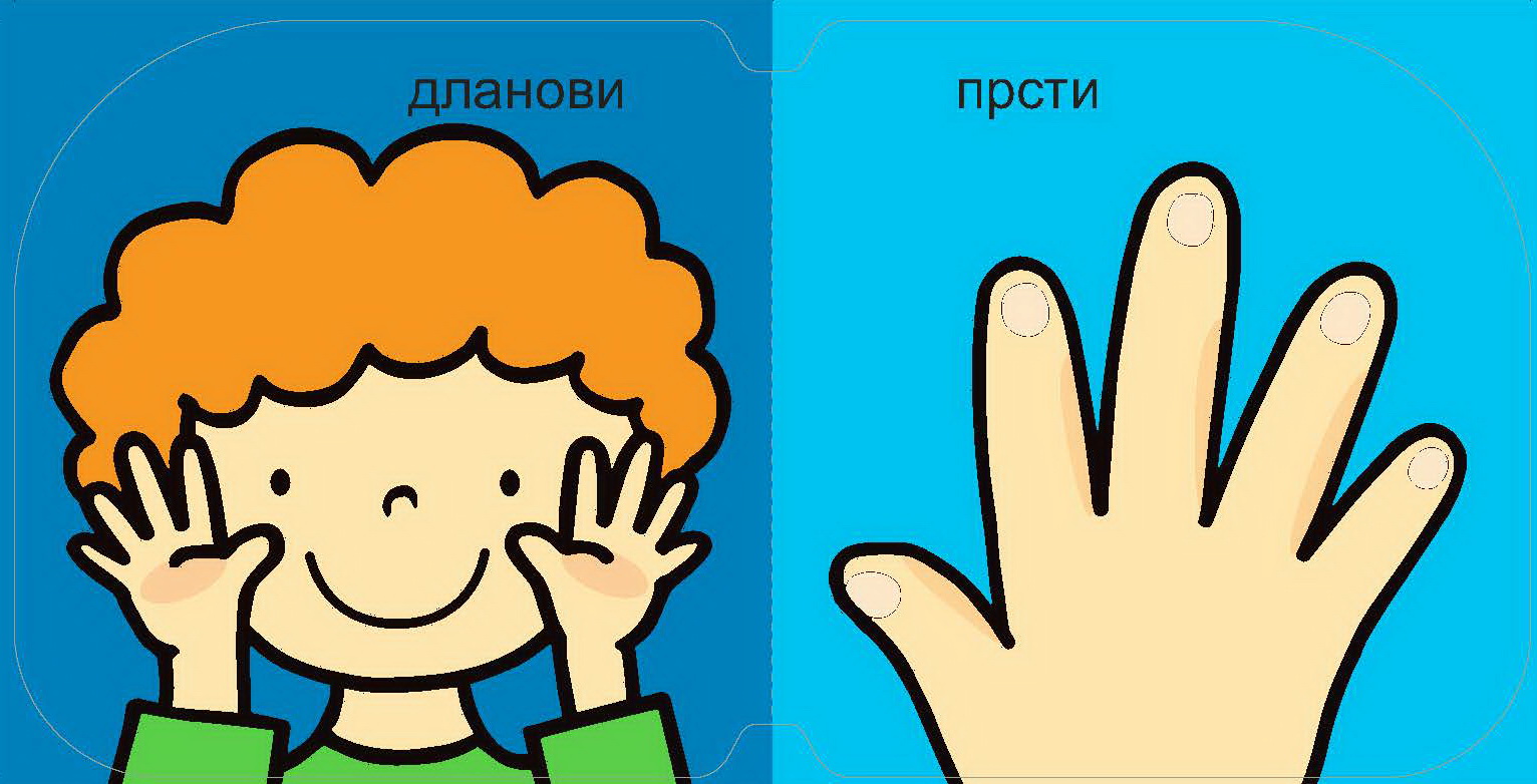 moje-telo-dlanovi-prsti moje-telo-dlanovi-prsti