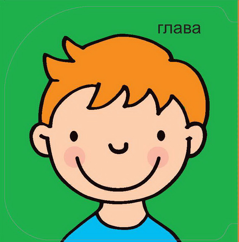 moje-telo-glava-slikovnica moje-telo-glava-slikovnica